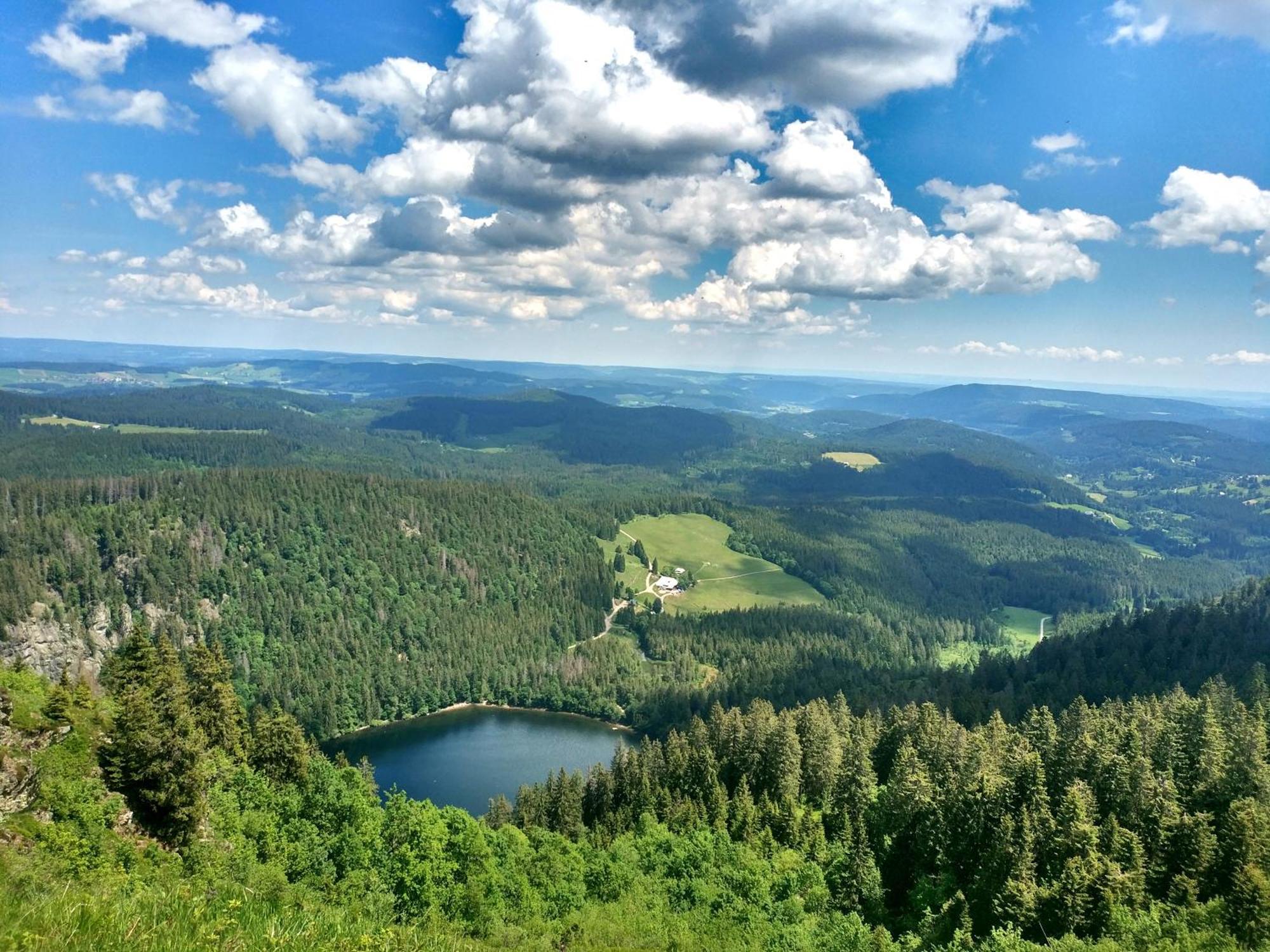 Ferienwohnung Seeblick Nr 2 5-Zimmerwohnung - Feldberg Baerental Rotwasser Exterior foto